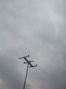 Porumbeii pe antena