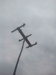 Porumbeii pe antena
