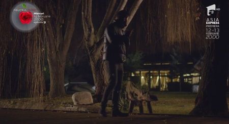 bandicam 2018-10-29 16-36-40-248