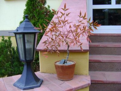 Forme si culori la sfarsit de octombrie; 23-24 grade C
