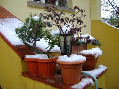 19 nov. 2018 - primul viscol, prima zapada, primul ger