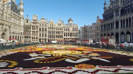 Covorul de flori din Bruxelles 2018