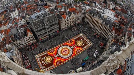 Covorul de flori din Bruxelles 2018