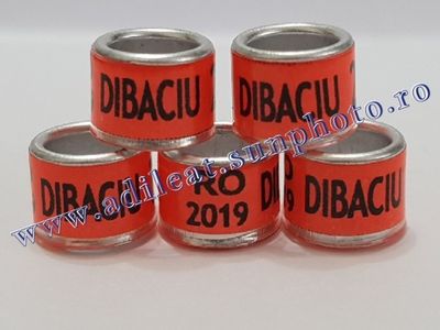 TextArt_190115213245