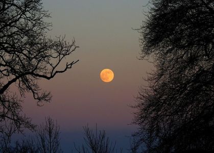 Eclipsa totala de luna in Leu, Anglia; 21 ian. 2019 - Blood Wolf Moon
poza preluata de pe net
