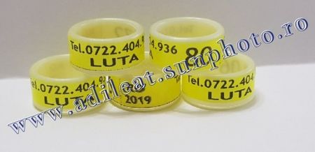 TextArt_190122214634
