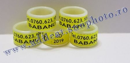 TextArt_190122214612