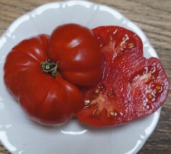 copiata world tomato society