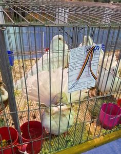 20190126_171455 (2)