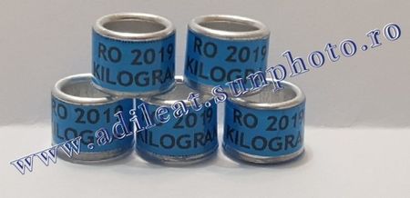 TextArt_190130215804