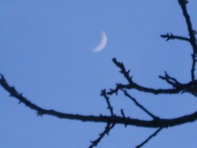 Luna in crestere in Berbec; 10 febr. 2019
