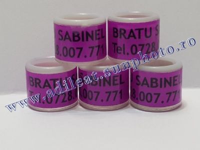 TextArt_190215221559