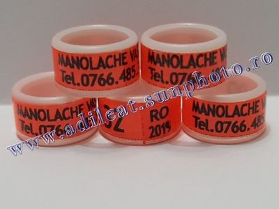 TextArt_190215221624