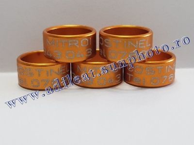 TextArt_190216212158