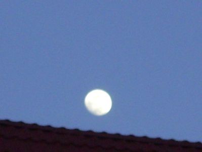 Luna in crestere in Leu; 17 febr. 2019
