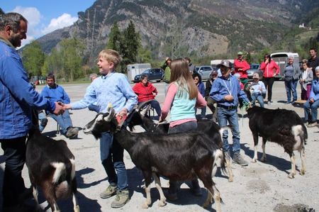 Copii fericiti cu Alpinele