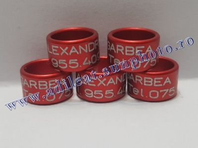 TextArt_190226152519