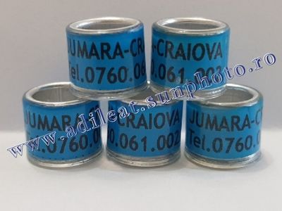TextArt_190226152249