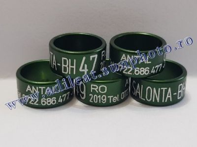 TextArt_190226152417