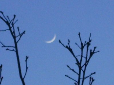 Luna in crestere in Taur; 10 mart. 2019
