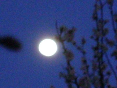 Luna in crestere in Leu; 18 mart. 2019
