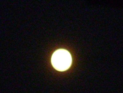 Luna in crestere in Fecioara; 20 mart. 2019 - Echinoctiul de primavara
