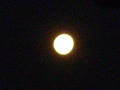 Luna in crestere in Fecioara; 20 mart. 2019 - Echinoctiul de primavara
