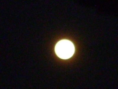 Luna in crestere in Fecioara; 20 mart. 2019 - Echinoctiul de primavara
