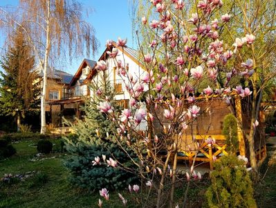 Magnolia a inflorit frumos anul asta !