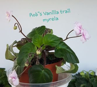 Rob"s Vanilla trail
