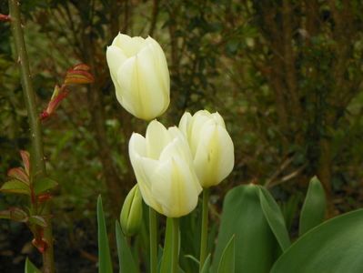 13 apr (39)