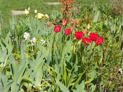 15 apr (22)