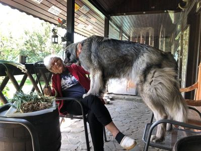 “Nu mirosi a ceapa!”