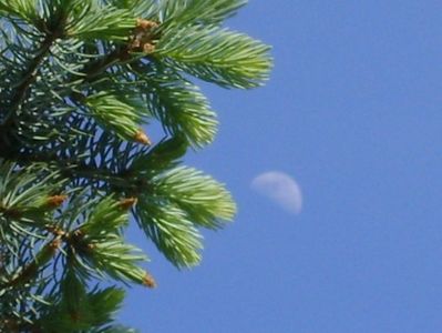 Primul patrar al Lunii in Fecioara; 12 mai 2019
