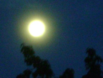 Luna plina in Scorpion; Full Flower moon - 19 mai 2019
