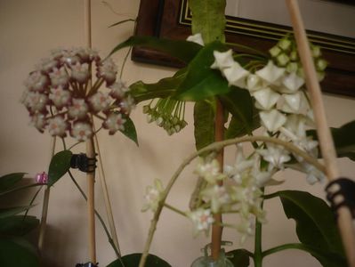 P1410629