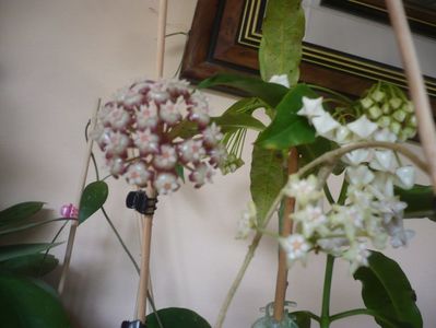 P1410630