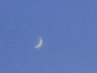 Luna noua in Leu; 7 iun. 2019
