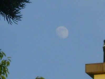 Luna in crestere in Scorpion; 14 iun. 2019
