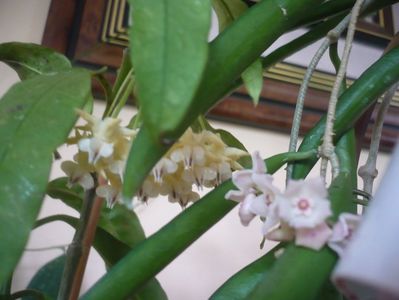 P1420032