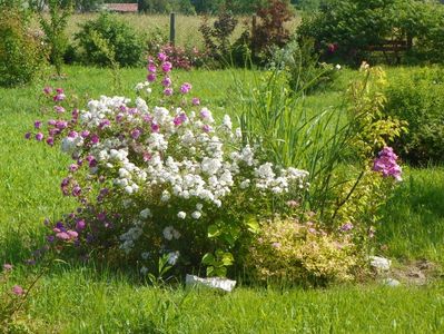 Abigail Adams si Pompon de Bourgogne