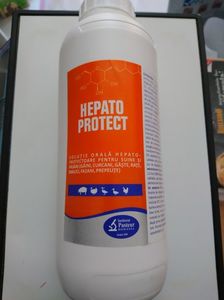 HEPATO PROTECT 1 L 58,5 RON