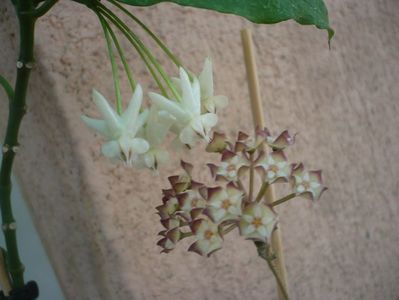 P1420103