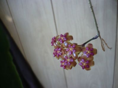 P1420109