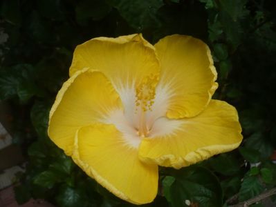 P1420359