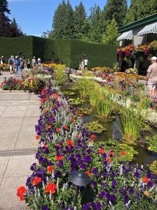 14.08.2019 Butchart Garden