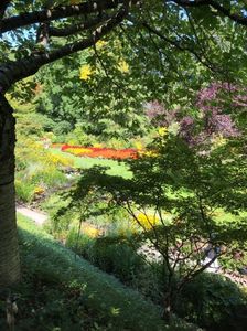 14.08.2019 Butchart Garden