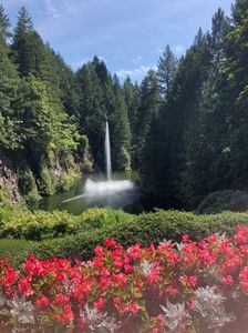 14.08.2019 Butchart Garden