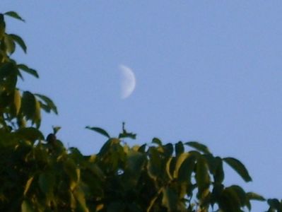 Luna in crestere in Sagetator; 5 sept. 2019
