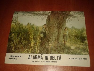 Alarma In Delta